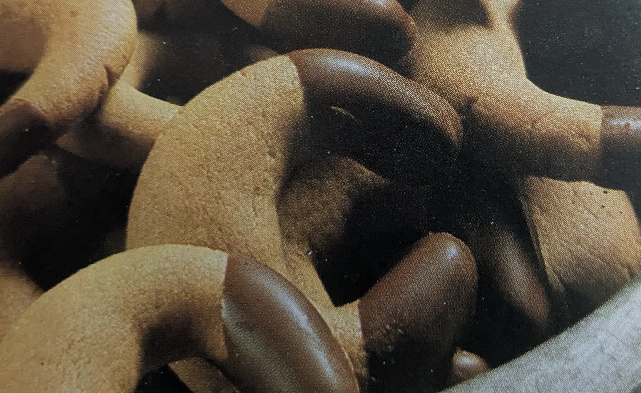 Cover Image of Nougat-Taler